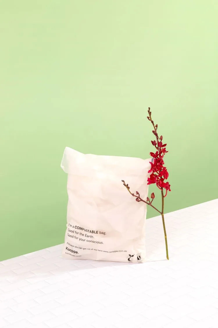 50 X Clear Biodegradable Medium Mailer 250X340mm Compostable Bag Satchels