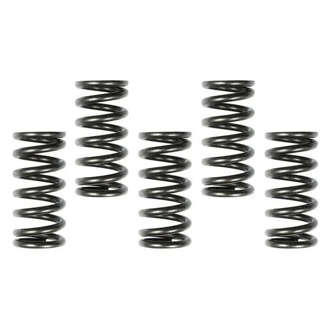 Apico Racing Clutch Kit - Honda